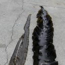 기후변화대응교육연구센터 대강당 이미지