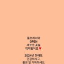 플로레리아 이미지