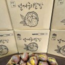 거산약품 이미지