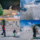 비발디파크 어린이 스키강습 스키장