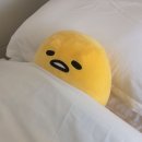 너와네일 이미지