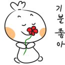 송림전기조명