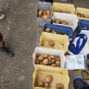 공주시 장애인종합복지관 | 공주시장애인종합복지관 감자캐기 감자 샌드위치 만들기 농촌돌봄서비스 활성화지원사업