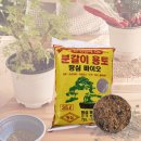 흙 - 보령시 | 흙