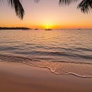 낙원자동차서비스 | 롬복·길리섬 스노클링·서핑 완전정복 가이드: 숨겨진 낙원을 찾아서