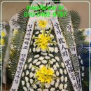 야탑동 351 (분당차병원) 이미지
