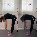 이은신경외과의원 | 송파구 스트레칭 필라테스 거북목 어깨뭉침 개선 후기 스트레치뱅 송파점