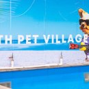 위드펫 빌리지 이미지