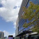 (주)코리아세븐 코엑스마곡점 | 코엑스 마곡에서 열리는 자연주의 박람회, 2026 내추럴위크 다녀왔어요!