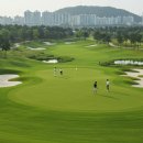 선학골프 이미지