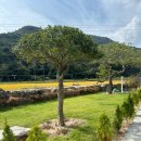 한시랑 스테이 이미지