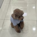 뉴제주약국 이미지