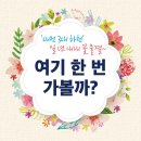 하천(대전천1) 이미지