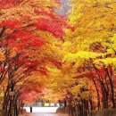 태림메디칼 이미지