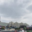 천안 신방동 맛집 한마음정육식당 천안 통정점에서 부드러운 돼지반마리 먹은 후기