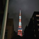 영화속으로 | [도쿄]🇯🇵 도쿄의 밤, 영화 속으로! 롯폰기 '곤파치 니시아자부'