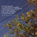 가영마켓 - 영등포구 영등포로43길 27 | 가영마켓