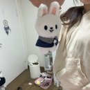 버거스테이지 상인점 | [25년 3월 일상] 백수생활 종료 ~ &gt;_•