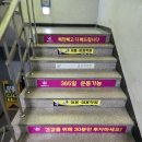 점핑퀸 | 대전 중구 태평동 유천동 점핑다이어트 점핑퀸 솔직후기