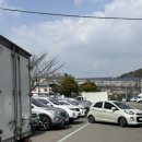 원주시 농산물공영도매시장 | [반여동 농수산물도매시장] 부산 중앙청과 봄 제철 과일 가격과 후기