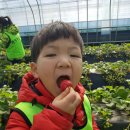 태권농장 이미지