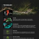 엠티브이22로 이미지