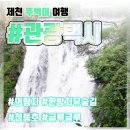 무궁화100리길 | [공지] [제천 뚜벅이 여행] 제천 관광택시 후기 - 의림지 | 청풍호 | 글루글루 대형 카페