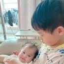 주호태권도 이미지