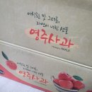 씨드팜 | 농라 자연하루(씨드팜) 부사 공품 9키로 구매후기