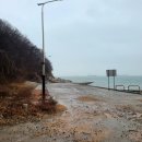 난지도소나무펜션 이미지