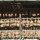 경운목장 이미지