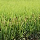 구림산책길 이미지