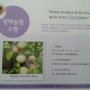 소향장터