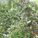 장재농장 이미지