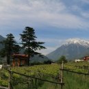 나인스에비뉴 이미지