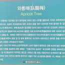 중부-신당-중부-1593 | 케데헌 성지 찾아가기-남산구간-