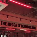 빅스짐 하단점 이미지