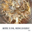 CU 대천항점 | 보령 대천항 오로라호 쭈꾸미낚시 후기 | 1물 조류 약한 날, 쭈꾸미 손맛과 갑오징어 반응