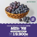 (주)거봉 이미지