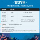 가족뮤지컬 에그박사 이미지