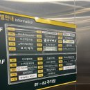 닥터시스 셀클럽 이미지