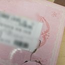 나은플라워 | 플라워노즈 블러셔, 립 타오바오 직구 후기