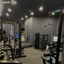 머슬원핏 시화점 네이버블로그