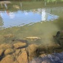 연가교옆 이미지