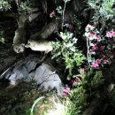 화진포 생태박물관 이미지