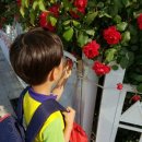 오늘은한의원 이미지