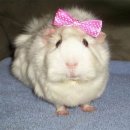 만나네 마라탕 | 어느 하늘아래 안에 작은 내 사랑