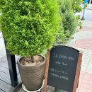 금호프라자 | 신중동[고요로스터리카페]로스터리 카페