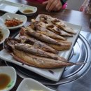 카카오 이미지