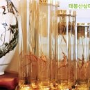 태봉서예